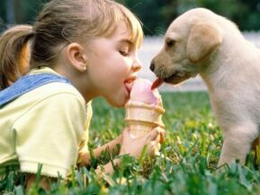 meitene ēd saldējumu ar suni un inficējas ar parazītiem